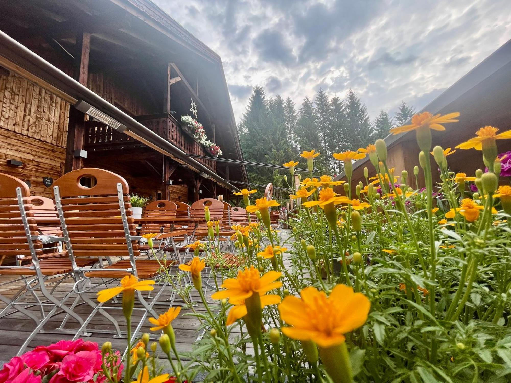 Sweet Cherry - Boutique & Guesthouse Tyrol 因斯布鲁克 外观 照片